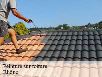Peinture sur toiture 69 Rhône M.Lagrenee Peinture