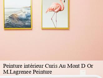 Peinture intérieur curis-au-mont-d-or-69250 M.Lagrenee Peinture