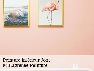 Peinture intérieur jons-69330 M.Lagrenee Peinture