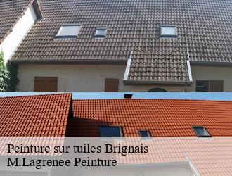 Peinture sur tuiles brignais-69530 M.Lagrenee Peinture