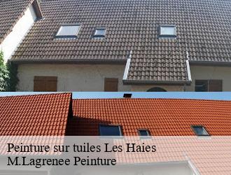 Peinture sur tuiles les-haies-69420 M.Lagrenee Peinture