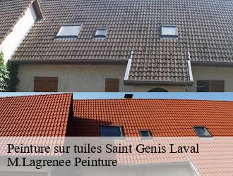 Peinture sur tuiles saint-genis-laval-69230 M.Lagrenee Peinture