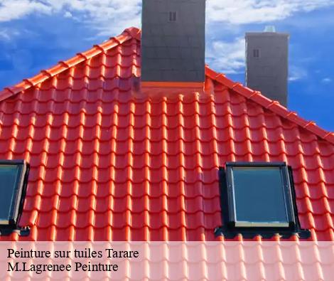 Peinture sur tuiles tarare-69170 M.Lagrenee Peinture