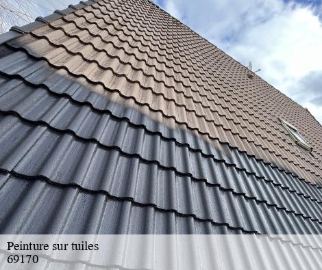 Peinture sur tuiles tarare-69170 M.Lagrenee Peinture