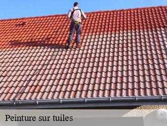 Peinture sur tuiles tarare-69170 M.Lagrenee Peinture