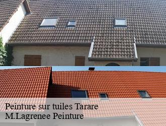 Peinture sur tuiles tarare-69170 M.Lagrenee Peinture