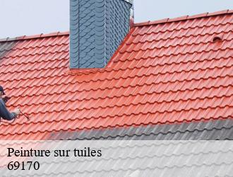 Peinture sur tuiles tarare-69170 M.Lagrenee Peinture