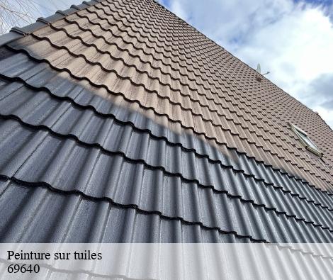 Peinture sur tuiles la-fouillouse-69640 M.Lagrenee Peinture