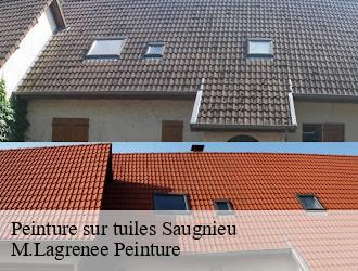 Peinture sur tuiles saugnieu-69124 M.Lagrenee Peinture