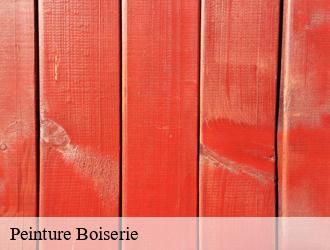 Peinture Boiserie l-arbresle-69210 M.Lagrenee Peinture