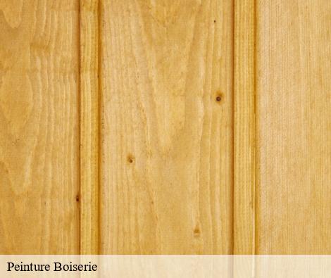 Peinture Boiserie dorieu-69550 M.Lagrenee Peinture