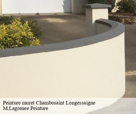 Peinture muret chambosaint-longessaigne-69770 M.Lagrenee Peinture