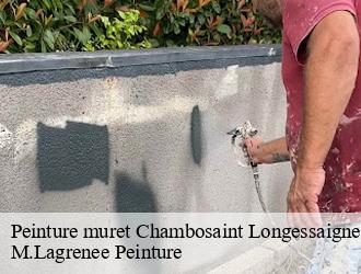 Peinture muret chambosaint-longessaigne-69770 M.Lagrenee Peinture