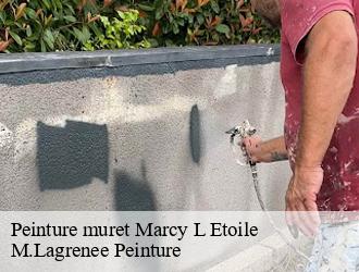 Peinture muret marcy-l-etoile-69280 M.Lagrenee Peinture