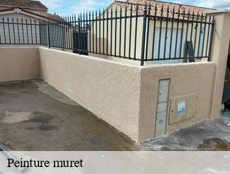 Peinture muret pierre-benite-69310 M.Lagrenee Peinture