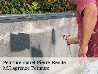 Peinture muret pierre-benite-69310 M.Lagrenee Peinture