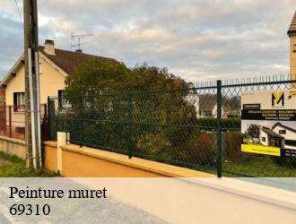 Peinture muret pierre-benite-69310 M.Lagrenee Peinture