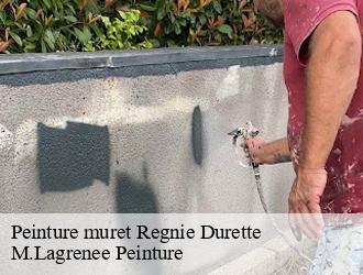 Peinture muret regnie-durette-69430 M.Lagrenee Peinture