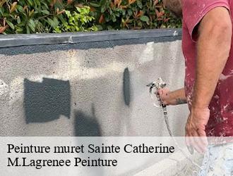 Peinture muret sainte-catherine-69440 M.Lagrenee Peinture