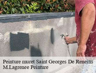Peinture muret saint-georges-de-reneins-69830 M.Lagrenee Peinture