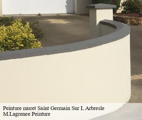 Peinture muret saint-germain-sur-l-arbresle-69210 M.Lagrenee Peinture