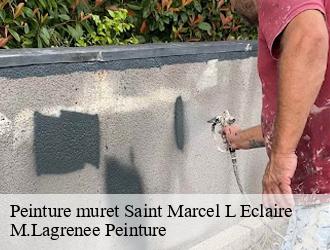 Peinture muret saint-marcel-l-eclaire-69170 M.Lagrenee Peinture