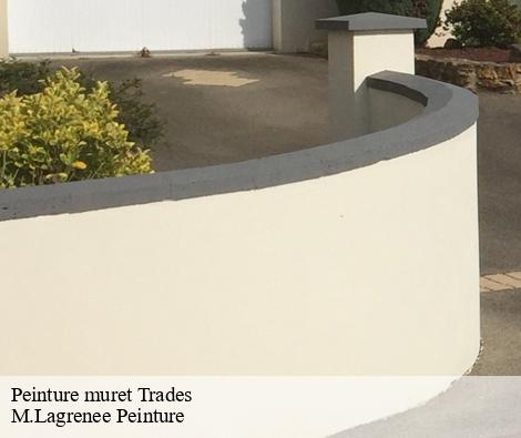 Peinture muret trades-69860 M.Lagrenee Peinture