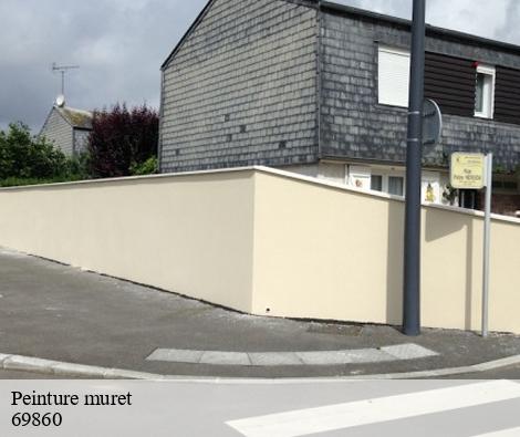 Peinture muret trades-69860 M.Lagrenee Peinture