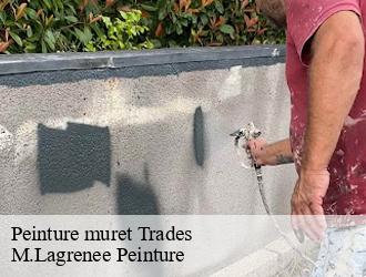 Peinture muret trades-69860 M.Lagrenee Peinture