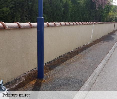 Peinture muret trades-69860 M.Lagrenee Peinture