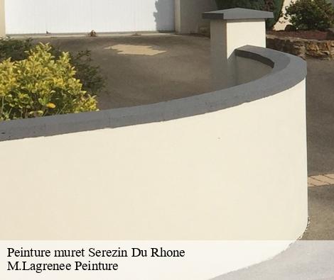 Peinture muret serezin-du-rhone-69360 M.Lagrenee Peinture