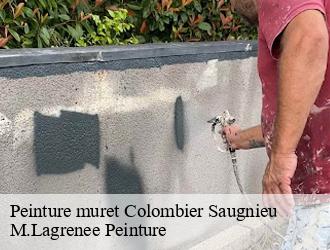 Peinture muret colombier-saugnieu-69124 M.Lagrenee Peinture