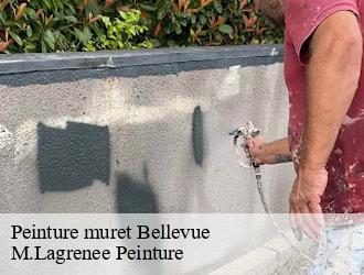 Peinture muret bellevue-69440 M.Lagrenee Peinture