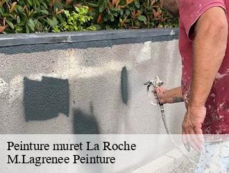 Peinture muret la-roche-69640 M.Lagrenee Peinture
