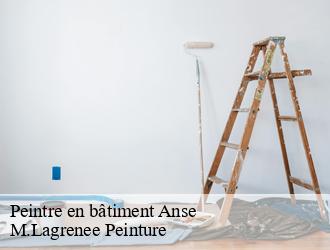 Peintre en bâtiment anse-69480 M.Lagrenee Peinture