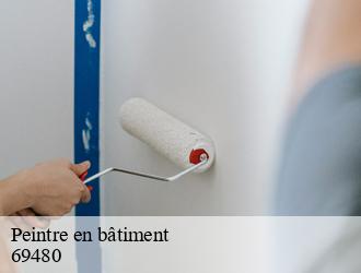 Peintre en bâtiment anse-69480 M.Lagrenee Peinture