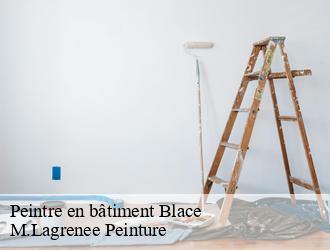 Peintre en bâtiment blace-69460 M.Lagrenee Peinture