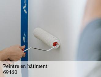 Peintre en bâtiment blace-69460 M.Lagrenee Peinture