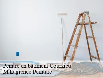 Peintre en bâtiment courzieu-69690 M.Lagrenee Peinture