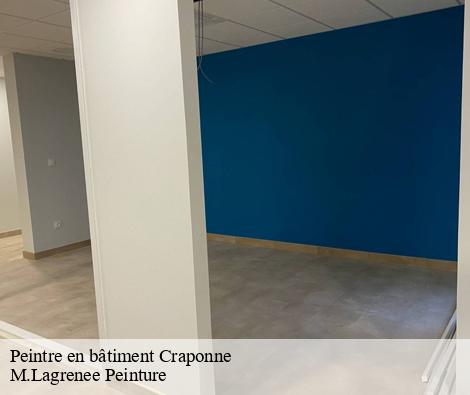 Peintre en bâtiment craponne-69290 M.Lagrenee Peinture