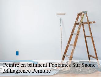 Peintre en bâtiment fontaines-sur-saone-69270 M.Lagrenee Peinture