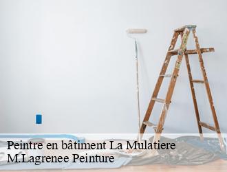 Peintre en bâtiment la-mulatiere-69350 M.Lagrenee Peinture