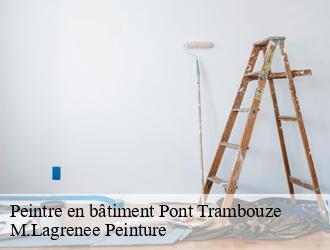 Peintre en bâtiment pont-trambouze-69240 M.Lagrenee Peinture