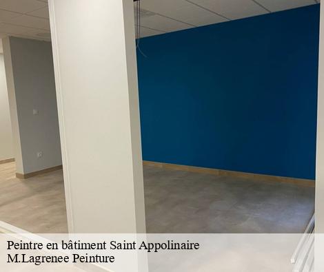 Peintre en bâtiment saint-appolinaire-69170 M.Lagrenee Peinture