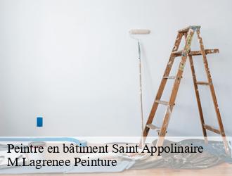 Peintre en bâtiment saint-appolinaire-69170 M.Lagrenee Peinture