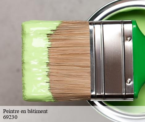 Peintre en bâtiment saint-genis-laval-69230 M.Lagrenee Peinture