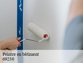 Peintre en bâtiment saint-genis-laval-69230 M.Lagrenee Peinture