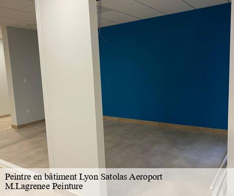 Peintre en bâtiment lyon-satolas-aeroport-69125 M.Lagrenee Peinture