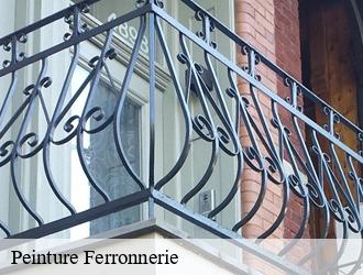 Peinture Ferronnerie cogny-69640 M.Lagrenee Peinture