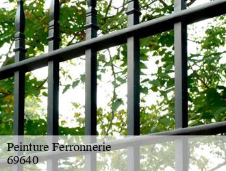 Peinture Ferronnerie cogny-69640 M.Lagrenee Peinture